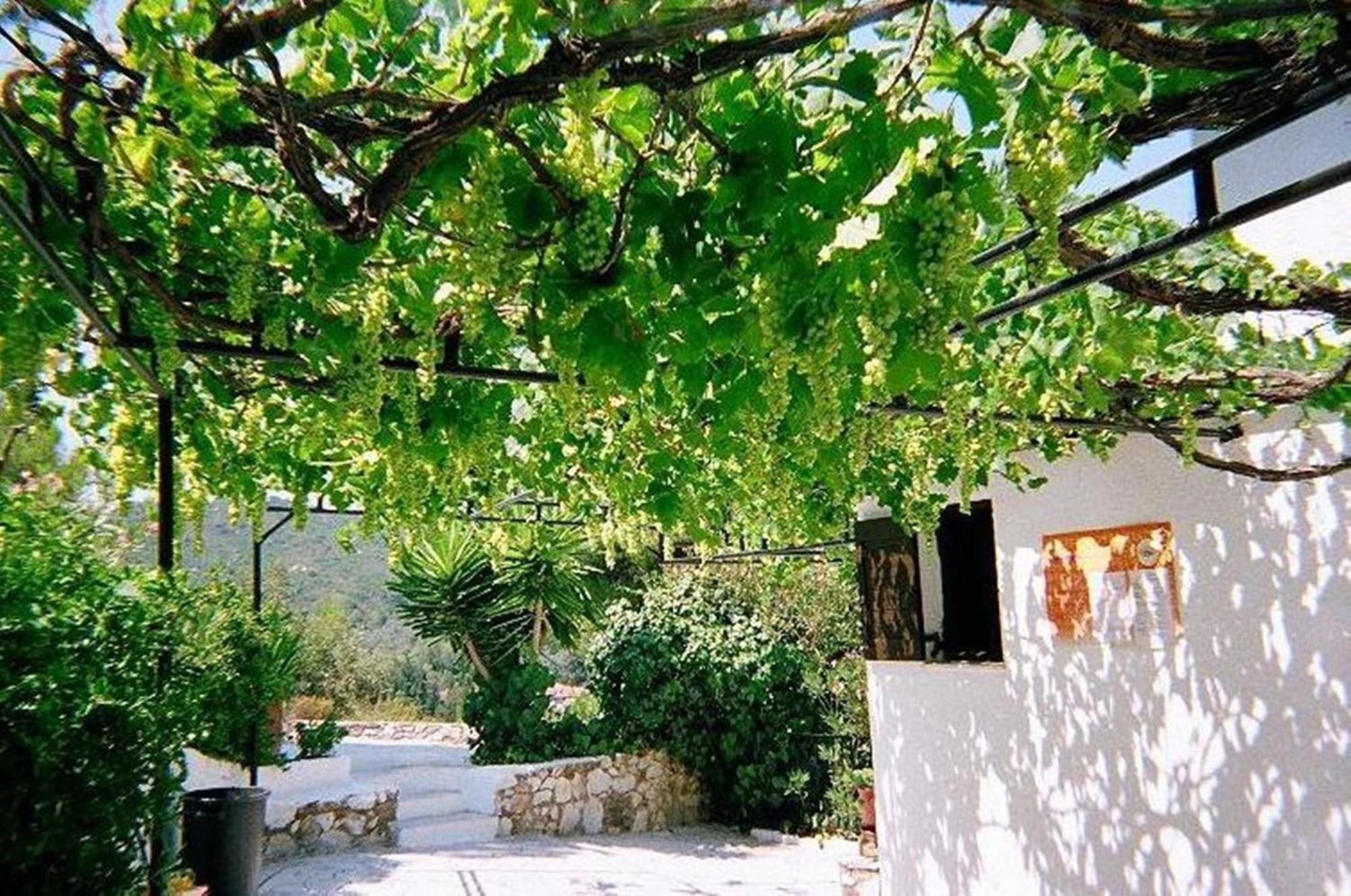 Villa Elpiniki Troulos Exteriör bild